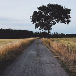 Dirt road passing through field