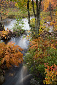 Scenic view of waterfall in forest during autumn