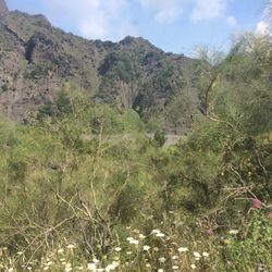 Scenic view of mountains against sky