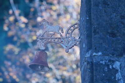Close-up of chain on tree trunk