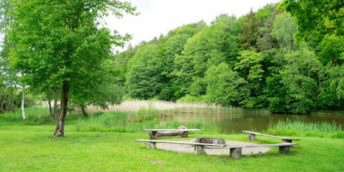 Scenic view of lake in forest