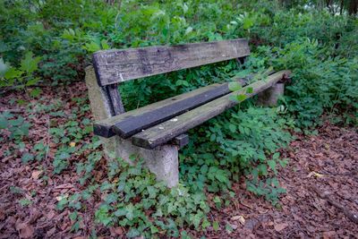 Bench in park