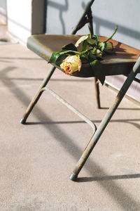 Close-up of flower on table