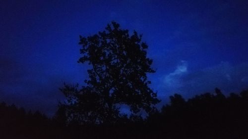 Low angle view of silhouette trees against blue sky