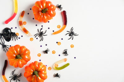 Directly above shot of orange fruits on white background