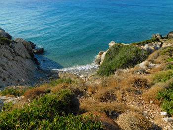 High angle view of rocks on beach