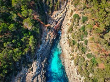 High angle view of flowing water in forest