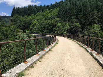 Footbridge amidst trees in forest against sky