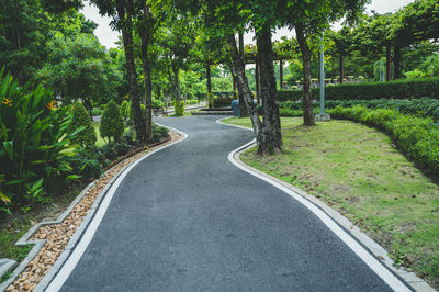 Empty road along trees