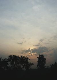 Silhouette of trees at sunset