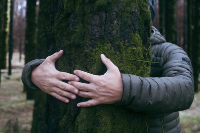 Cropped hand of man touching tree trunk