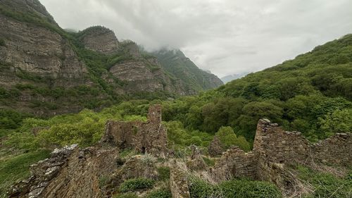 environment