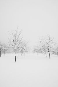 Bare trees on snow covered field against sky