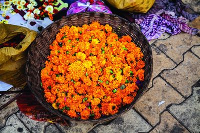 Close-up high angle view of blue umbrella