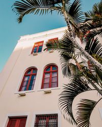 Low angle view of palm tree against building