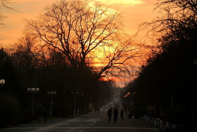 Silhouette trees against sky during sunset