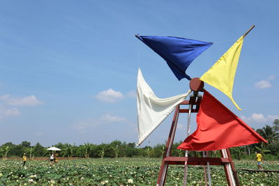 Flag on field against sky