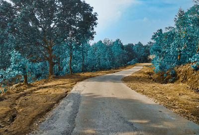 Empty road amidst trees against sky