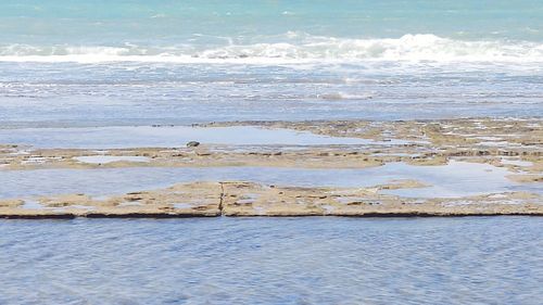 Scenic view of sea