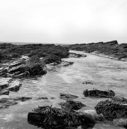 Scenic view of sea against clear sky