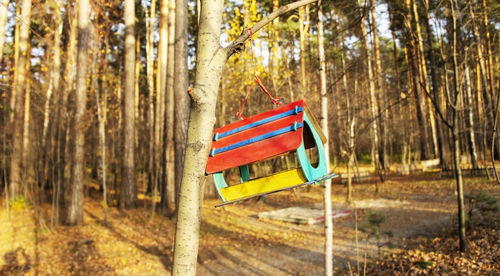 Colored hand-made house bird feeder hanging on a tree in the autumn forest. 