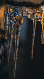 Close up of icecicles hanging on a cable