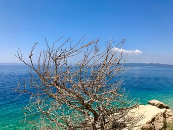 Scenic view of sea against blue sky