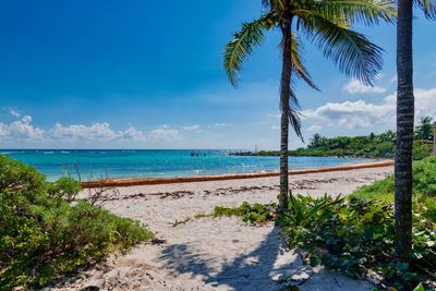 Scenic view of beach against sky