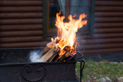 Bonfire on wooden log