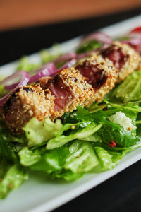 Close-up of meal served in plate