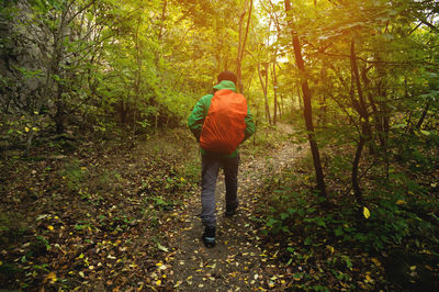 A tourist in a green jacket and a red backpack walks along a mountain path in spring or autumn
