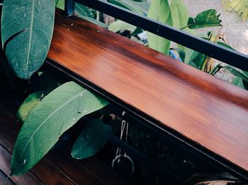 High angle view of leaves on table