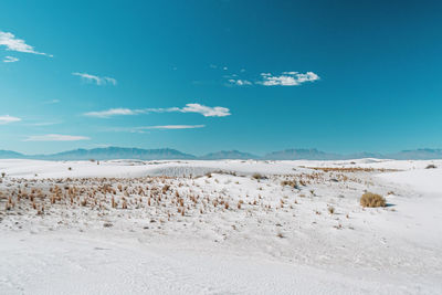 Scenic view of beach against blue sky