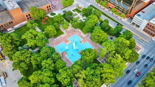 High angle view of trees