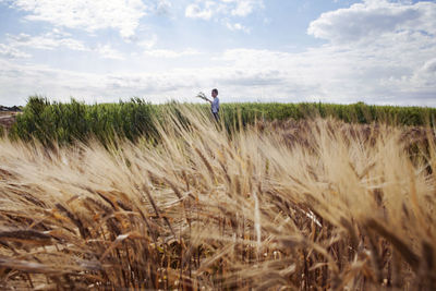 Distant view of female farmer working on wheat field