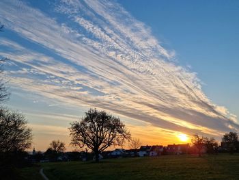 Silhouette trees on field against sky during sunset