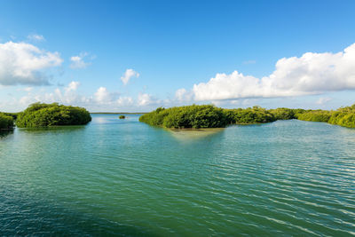 Scenic view of sian kaan biosphere reserve against sky during sunny day