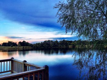 Reflection of trees in water