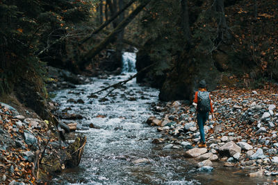 Rear view of woman walking on stream in forest