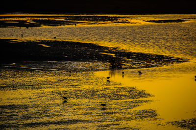 Scenic view of sea during sunset