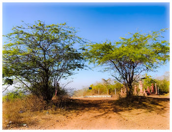 Road amidst trees against clear blue sky