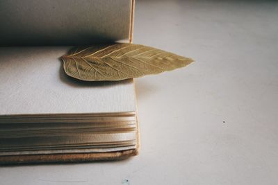 Close-up of leaf in book