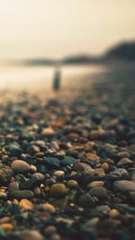 Surface level of pebbles on beach