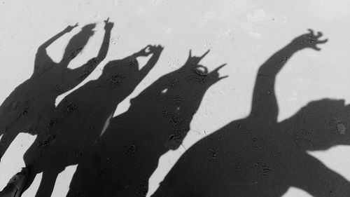 Shadow of friends on beach