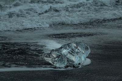 Scenic view of sea shore
