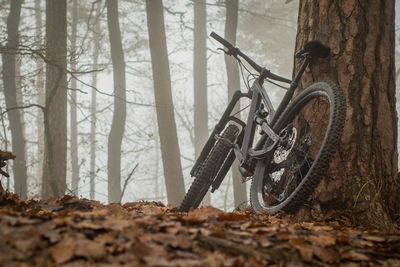 Bicycle in forest