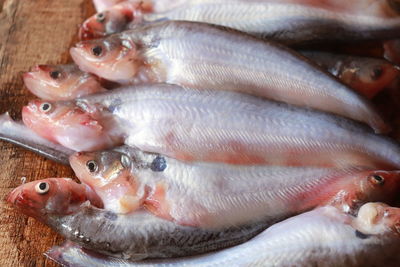 High angle view of fish for sale in market