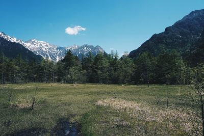 Scenic view of field against sky