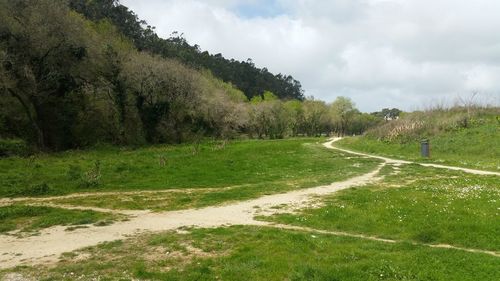 Scenic view of landscape against sky