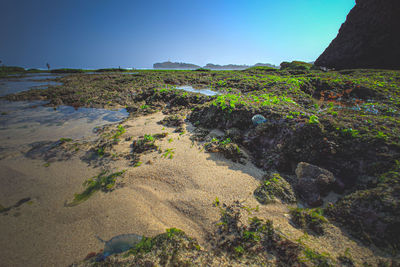 Scenic view of sea against clear sky